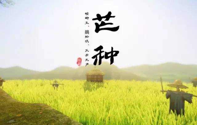 芒種！