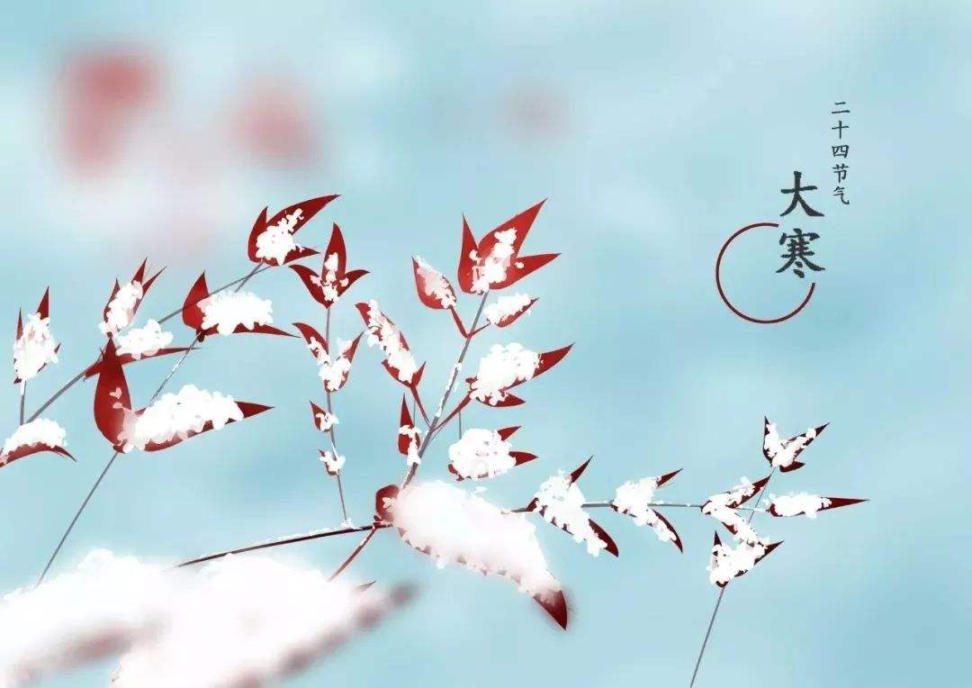 大寒雪未消，清霜梅已驕!